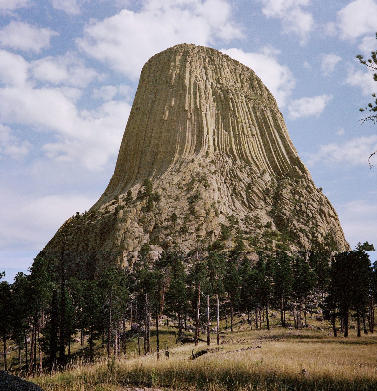 Devil's Tower by Evan Benally Atwood
