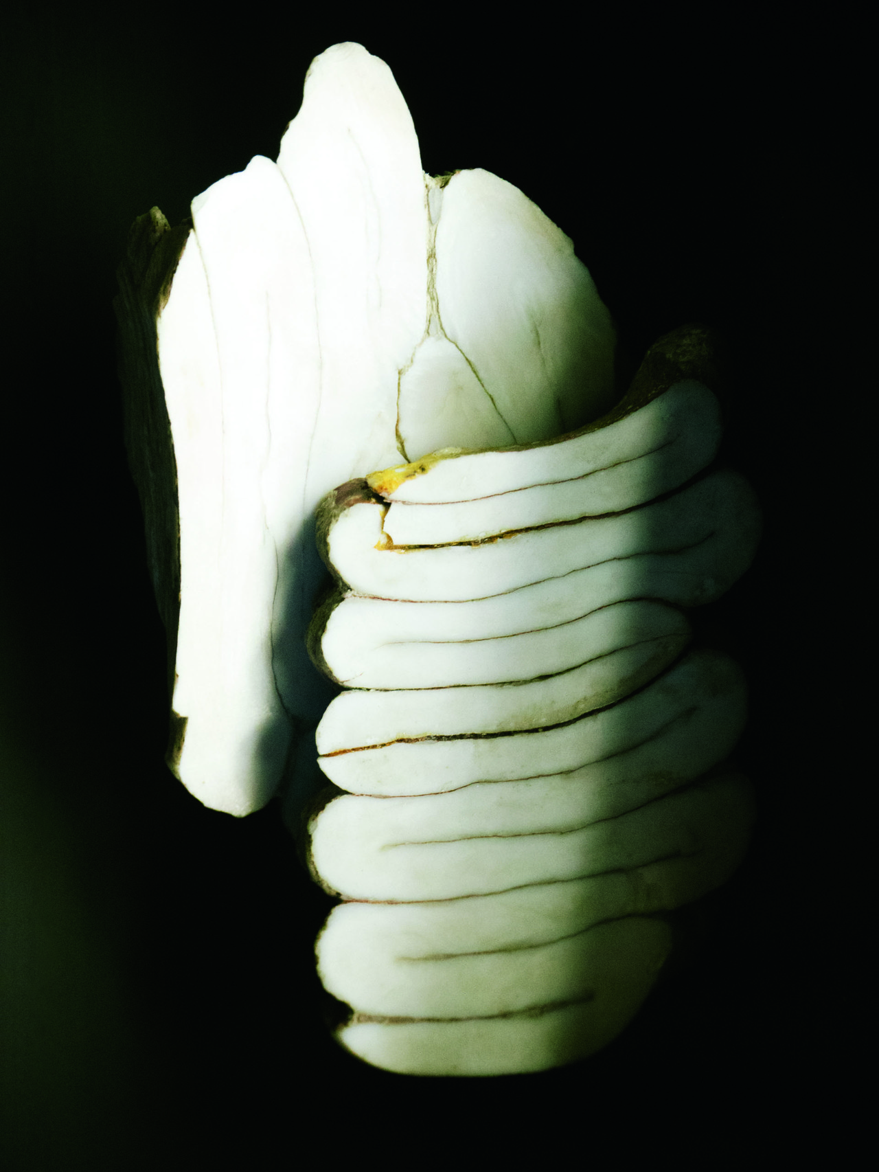 White rock formation by Stefanie Moshammer