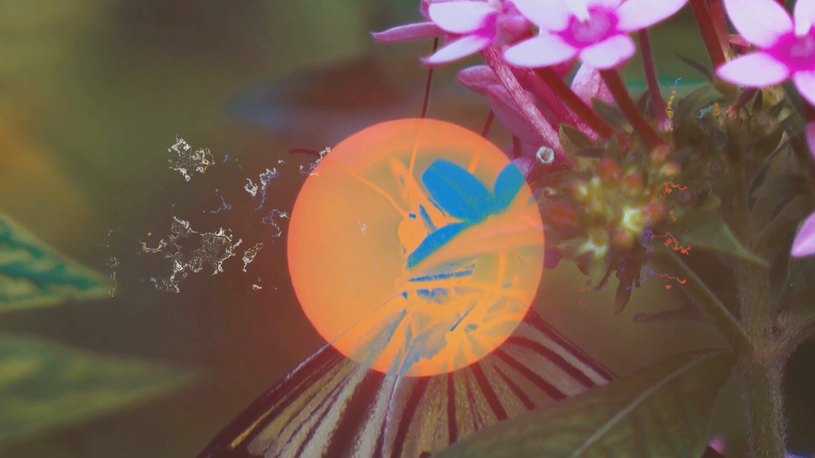 At Last, An Entire Institute For Queer Ecology