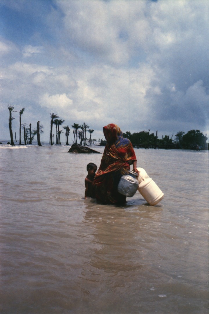 hero gallery image 6