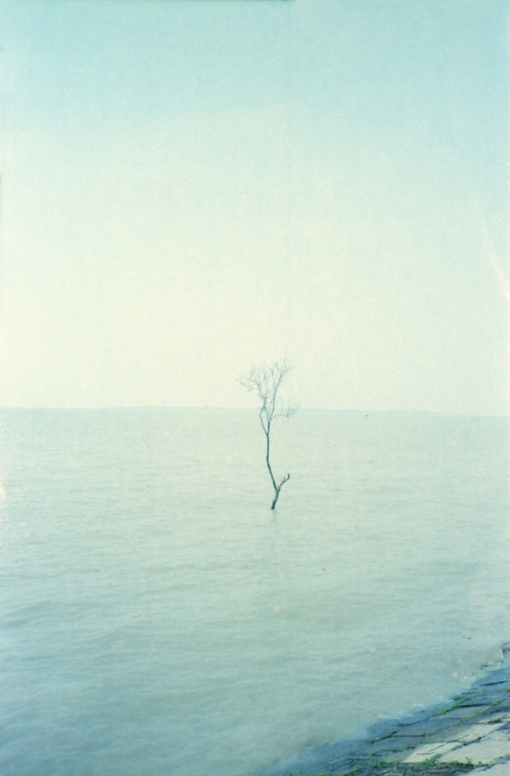 hero gallery image 15