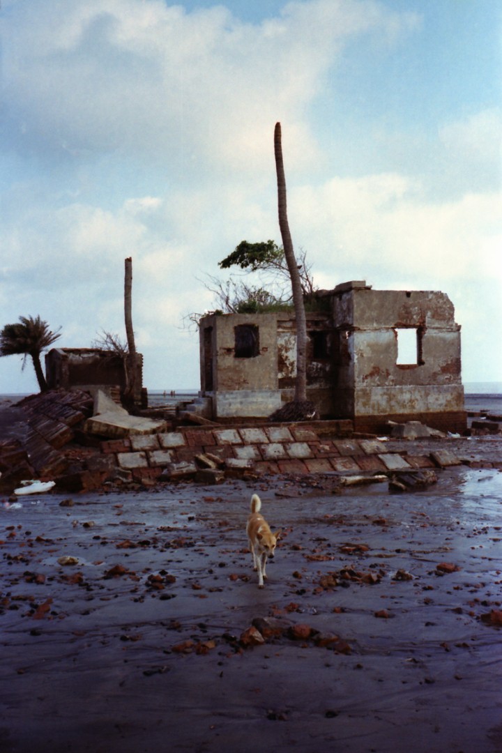 hero gallery image 17