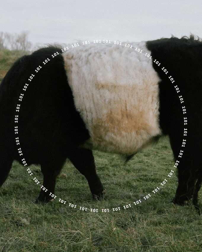 101: Breaking Down Greenhouse Gases