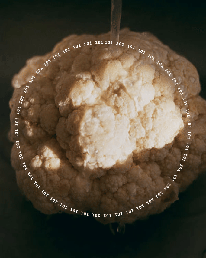 101: What To Eat To Save the Planet