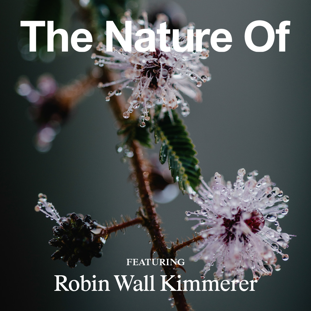 Robin Wall Kimmerer: The Land Loves You Back
